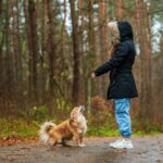 utilizing outdoor pet gear