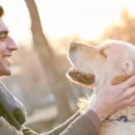 How I Handled My Pet’s Anxiety During Our Long Road Trip