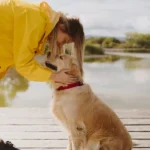 How I Successfully Traveled With My Dog for the First Time