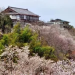 What’S It Like to Travel During Shoulder Season?