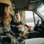 pet travel preparation tips